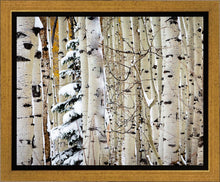 Load image into Gallery viewer, Christmas Around the Corner, Guardsman Pass, Park City, Utah