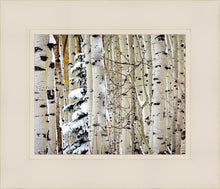 Load image into Gallery viewer, Christmas Around the Corner, Guardsman Pass, Park City, Utah