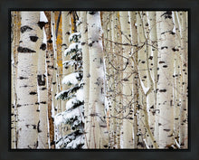 Load image into Gallery viewer, Christmas Around the Corner, Guardsman Pass, Park City, Utah
