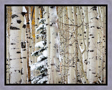 Load image into Gallery viewer, Christmas Around the Corner, Guardsman Pass, Park City, Utah