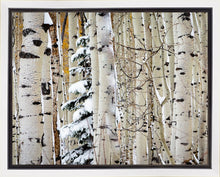 Load image into Gallery viewer, Christmas Around the Corner, Guardsman Pass, Park City, Utah