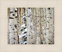 Load image into Gallery viewer, Christmas Around the Corner, Guardsman Pass, Park City, Utah
