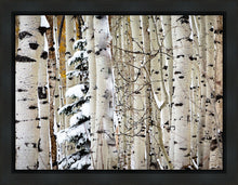 Load image into Gallery viewer, Christmas Around the Corner, Guardsman Pass, Park City, Utah