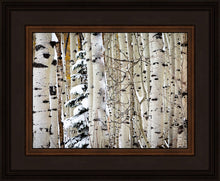 Load image into Gallery viewer, Christmas Around the Corner, Guardsman Pass, Park City, Utah