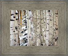 Load image into Gallery viewer, Christmas Around the Corner, Guardsman Pass, Park City, Utah