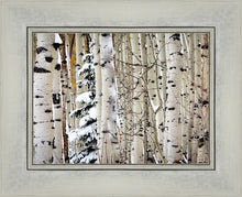 Load image into Gallery viewer, Christmas Around the Corner, Guardsman Pass, Park City, Utah