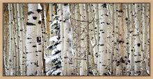 Load image into Gallery viewer, Christmas Around the Corner, Guardsman Pass, Park City, Utah