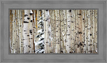 Load image into Gallery viewer, Christmas Around the Corner, Guardsman Pass, Park City, Utah