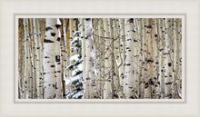 Load image into Gallery viewer, Christmas Around the Corner, Guardsman Pass, Park City, Utah