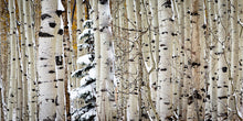 Load image into Gallery viewer, Christmas Around the Corner, Guardsman Pass, Park City, Utah