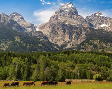 Load image into Gallery viewer, Panorama of Grand Teton Mountain Range, Wyoming