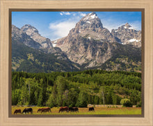 Load image into Gallery viewer, Panorama of Grand Teton Mountain Range, Wyoming
