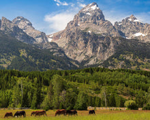 Load image into Gallery viewer, Panorama of Grand Teton Mountain Range, Wyoming