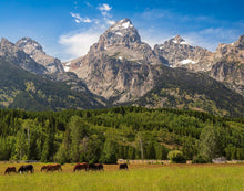 Load image into Gallery viewer, Panorama of Grand Teton Mountain Range, Wyoming