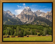 Load image into Gallery viewer, Panorama of Grand Teton Mountain Range, Wyoming