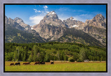 Load image into Gallery viewer, Panorama of Grand Teton Mountain Range, Wyoming