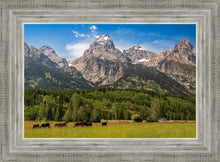 Load image into Gallery viewer, Panorama of Grand Teton Mountain Range, Wyoming