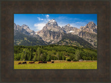 Load image into Gallery viewer, Panorama of Grand Teton Mountain Range, Wyoming