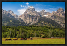 Load image into Gallery viewer, Panorama of Grand Teton Mountain Range, Wyoming