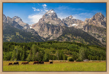 Load image into Gallery viewer, Panorama of Grand Teton Mountain Range, Wyoming