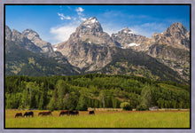 Load image into Gallery viewer, Panorama of Grand Teton Mountain Range, Wyoming