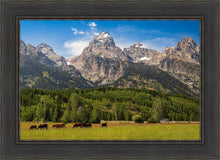 Load image into Gallery viewer, Panorama of Grand Teton Mountain Range, Wyoming