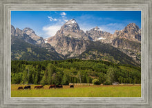 Load image into Gallery viewer, Panorama of Grand Teton Mountain Range, Wyoming