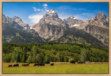 Load image into Gallery viewer, Panorama of Grand Teton Mountain Range, Wyoming