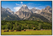 Load image into Gallery viewer, Panorama of Grand Teton Mountain Range, Wyoming