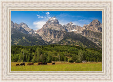 Load image into Gallery viewer, Panorama of Grand Teton Mountain Range, Wyoming
