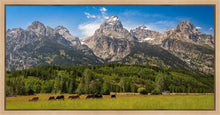 Load image into Gallery viewer, Panorama of Grand Teton Mountain Range, Wyoming