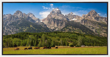Load image into Gallery viewer, Panorama of Grand Teton Mountain Range, Wyoming