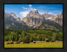 Load image into Gallery viewer, Panorama of Grand Teton Mountain Range, Wyoming