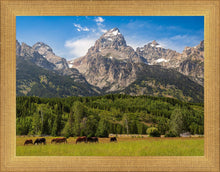 Load image into Gallery viewer, Panorama of Grand Teton Mountain Range, Wyoming