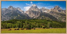 Load image into Gallery viewer, Panorama of Grand Teton Mountain Range, Wyoming