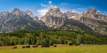Load image into Gallery viewer, Panorama of Grand Teton Mountain Range, Wyoming