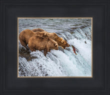 Load image into Gallery viewer, Grizzly Bears Fishing for Salmon at Katmai National Park Brooks Falls, Alaska