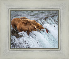 Load image into Gallery viewer, Grizzly Bears Fishing for Salmon at Katmai National Park Brooks Falls, Alaska