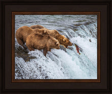 Load image into Gallery viewer, Grizzly Bears Fishing for Salmon at Katmai National Park Brooks Falls, Alaska