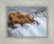 Load image into Gallery viewer, Grizzly Bears Fishing for Salmon at Katmai National Park Brooks Falls, Alaska