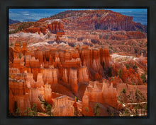 Load image into Gallery viewer, The Hoodoos of Bryce Canyon National Park, Utah