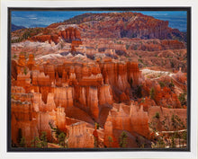 Load image into Gallery viewer, The Hoodoos of Bryce Canyon National Park, Utah