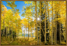 Load image into Gallery viewer, Autumn in the Rocky Mountains, Wasatch National Forest, Utah