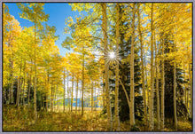 Load image into Gallery viewer, Autumn in the Rocky Mountains, Wasatch National Forest, Utah