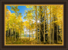 Load image into Gallery viewer, Autumn in the Rocky Mountains, Wasatch National Forest, Utah