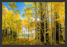 Load image into Gallery viewer, Autumn in the Rocky Mountains, Wasatch National Forest, Utah