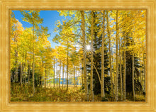 Load image into Gallery viewer, Autumn in the Rocky Mountains, Wasatch National Forest, Utah