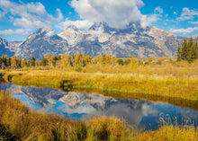 Load image into Gallery viewer, Autumn Splendor