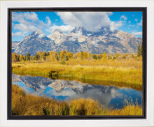 Load image into Gallery viewer, Autumn Splendor