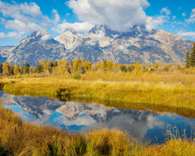 Load image into Gallery viewer, Autumn Splendor
